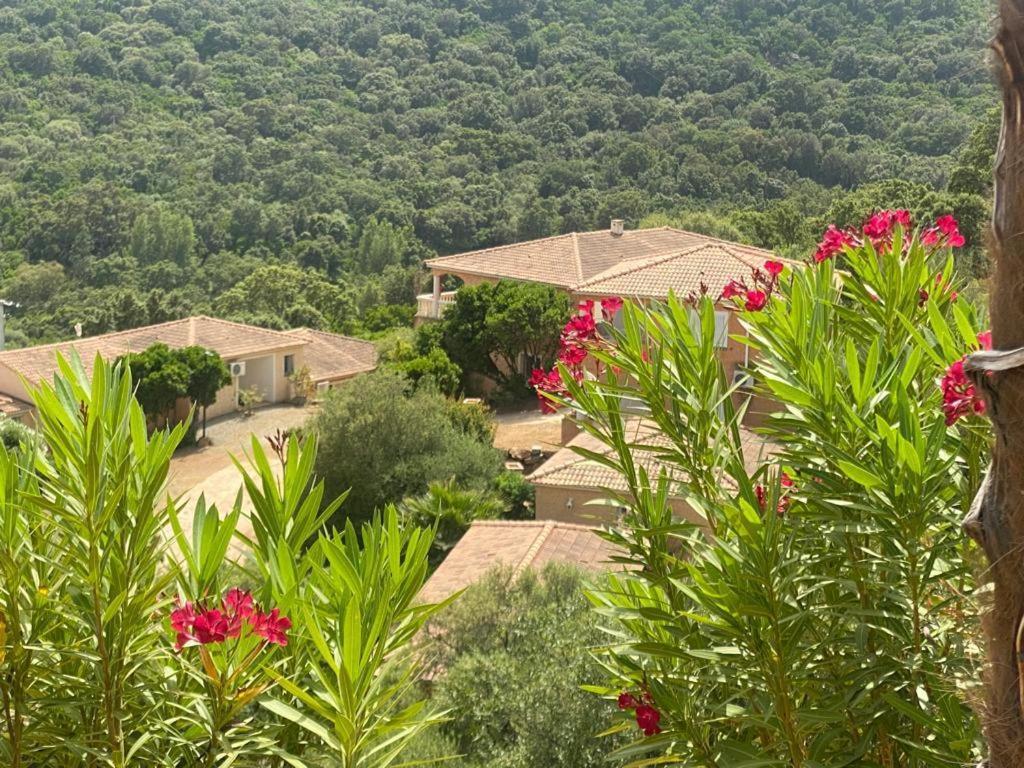 Via Mare Hotel Sainte-Lucie de Porto-Vecchio Exterior foto